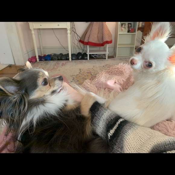 Meet your Posher, Kathryn - Picture 3 of 3